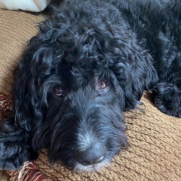 (0-24W; XS-4X) 25% Off ALL Bundles - Picture 6 of 13